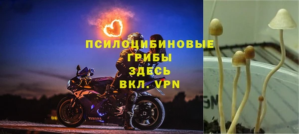 прущая мука Михайлов