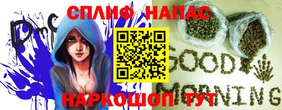 дживик Тара