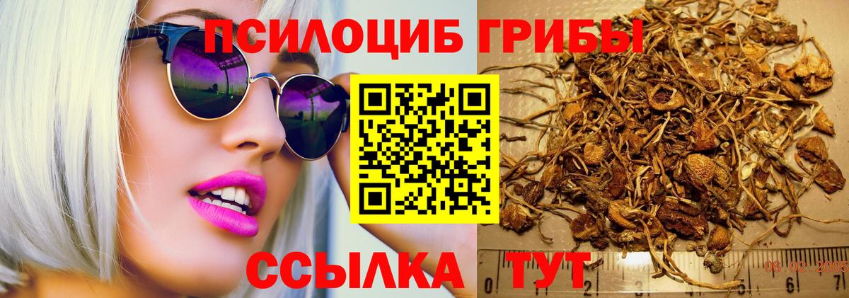 Галлюциногенные грибы GOLDEN TEACHER  Вход с VPN  Псилоцибиновые грибы мухоморы  где купить наркоту  Серов 
