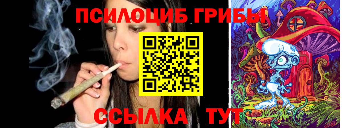 Псилоцибиновые грибы Psilocybine cubensis Серов